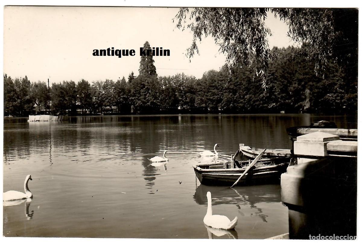 Postales: PUIGCERDA N&ordm; 115 EL LAGO / EDICION COMERCIAL PRAT / SIN CIRCULAR