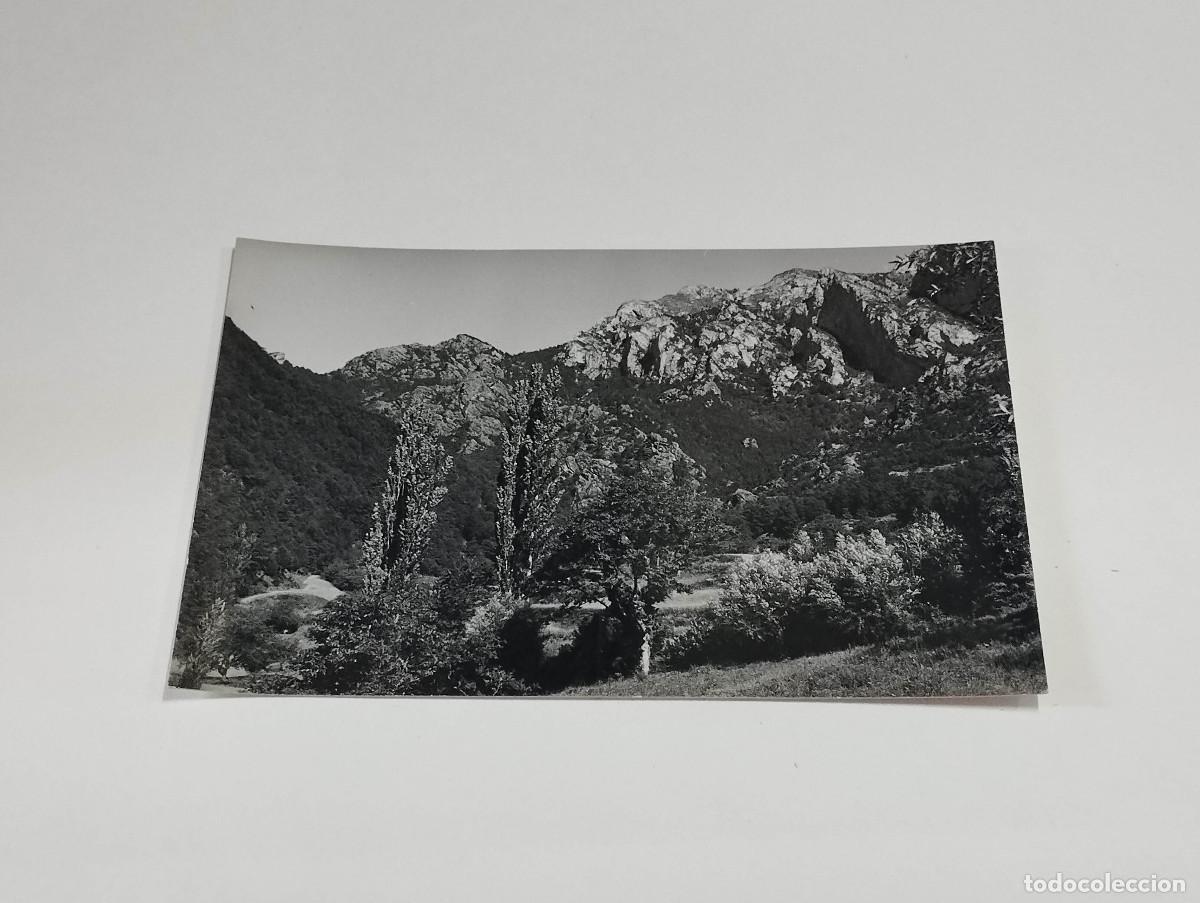Postales: BERGUED&Agrave; - POSTAL GREIXA
