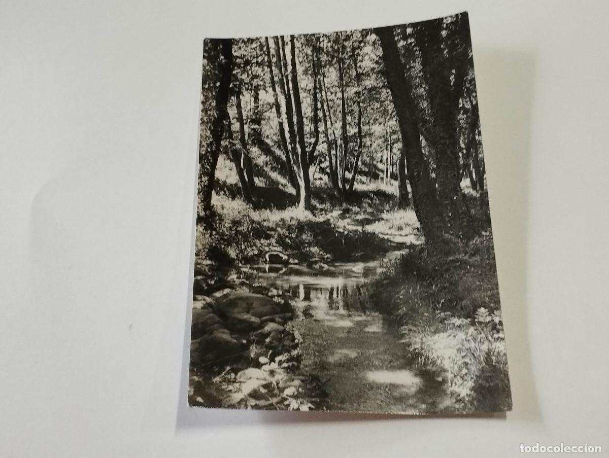 Postales: VALL&Egrave;S ORIENTAL - POSTAL GUALBA - LA RIERA - Foto 1