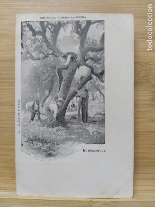 Postales: INDUSTRIA CORCHO TAPONERA-EL DESCORCHE-17 A.MAURI-REVERSO SIN DIVIDIR-POSTAL ANTIGA-(105.152)