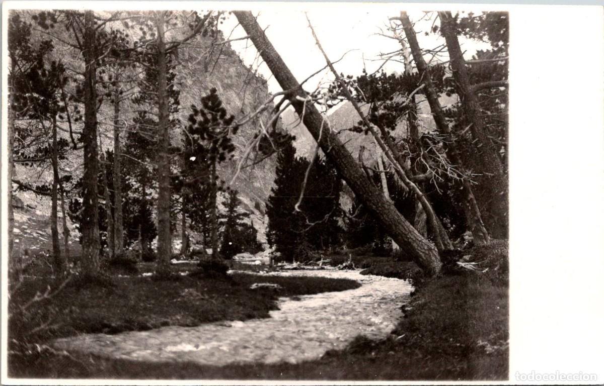Postales: Pirineu de LLeida - Vall de Monastero - Agost 1930 - Fotogr&aacute;fica - &Uacute;nica - 135x85mm