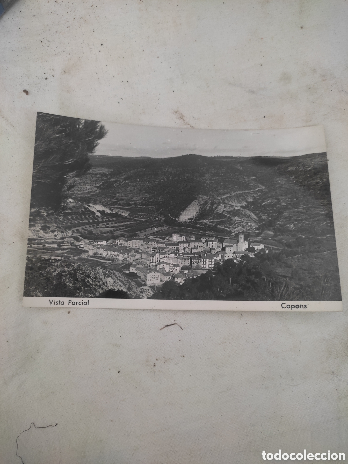 Cartes Postales: Postal de copons vista parcial