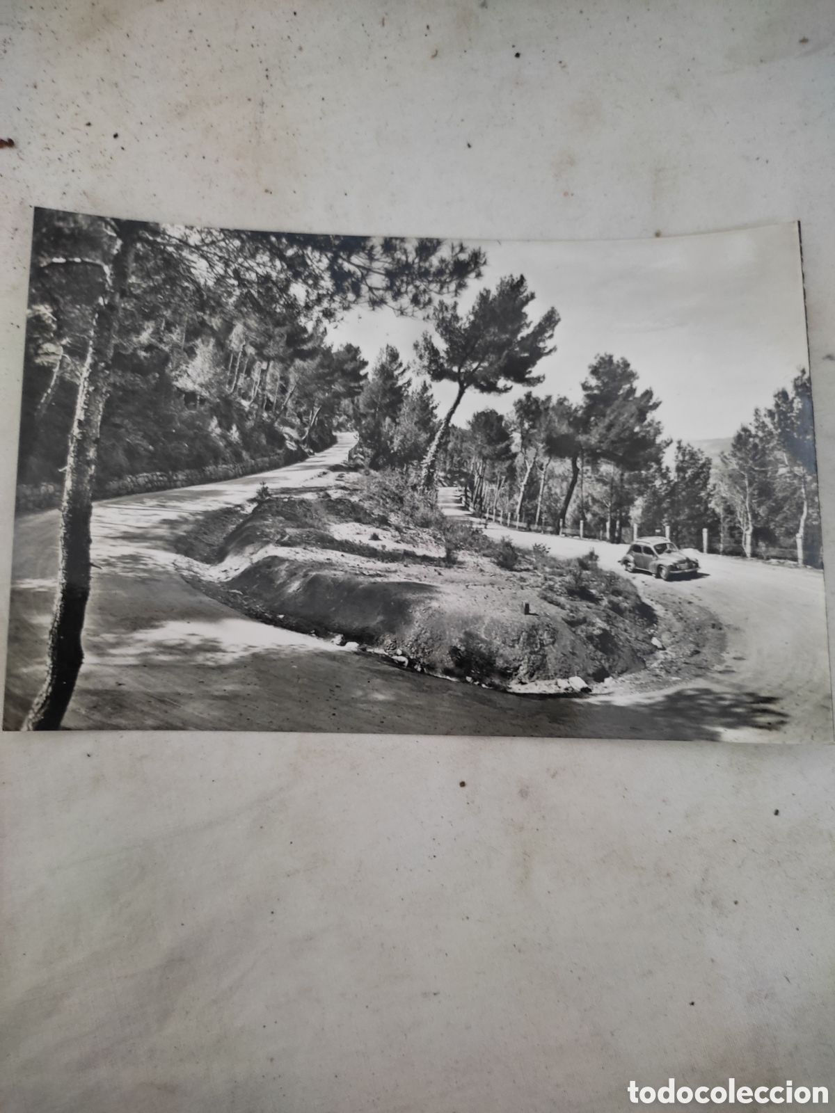 Cartes Postales: Postal begas giravol fondo coche