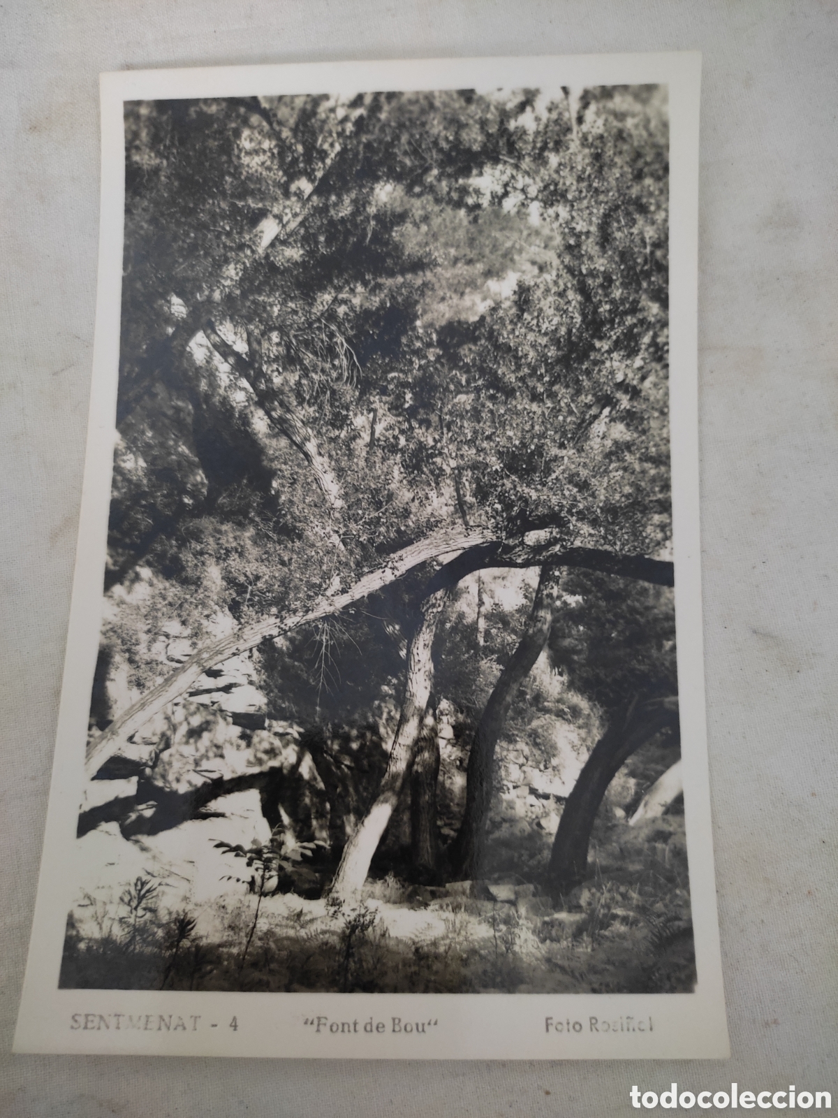 Postcards: Postal 4 santmenat font de bou