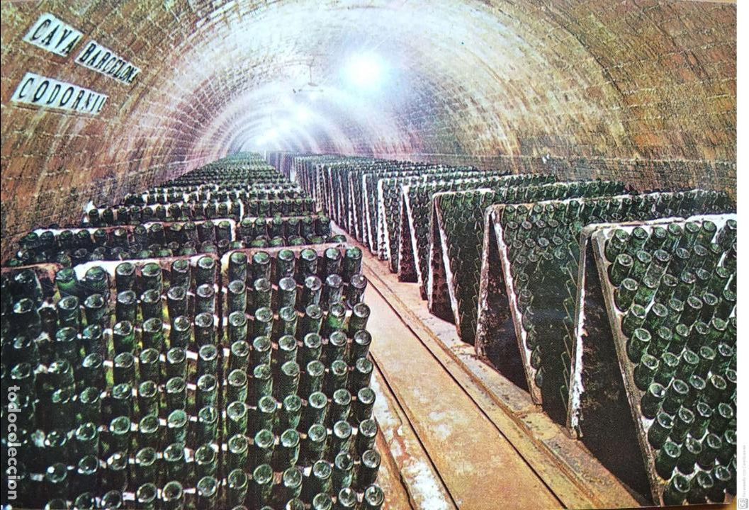 Postales: Cavas Codorniu. Botellas en pupitre. Nueva. Color