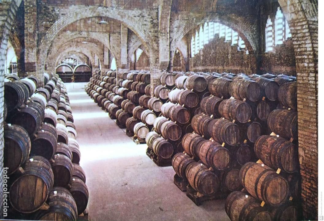 Postales: Cavas Codorniu. Una bodega. Monumento Nacional. Nueva. Color. Manchas en el dorso.