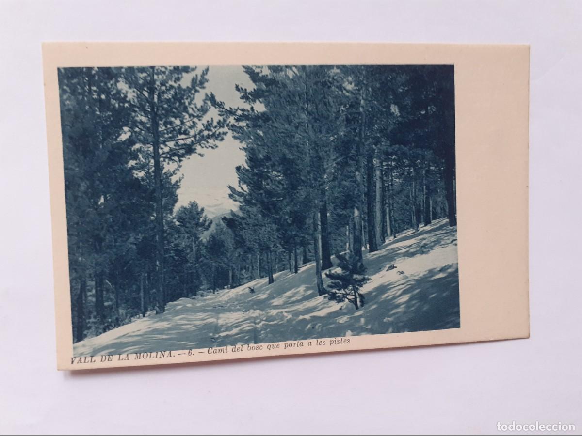 Postkarten: POSTAL - Vall de la Molina. 6 - Cami del bosc que porta a les pistes - S/C