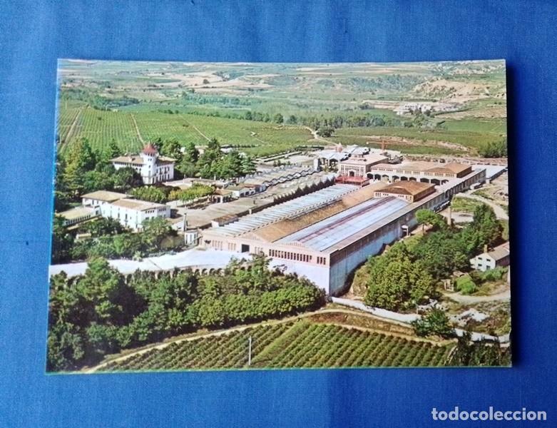 Postales: postal cavas Codorniu no circulada - Foto 1