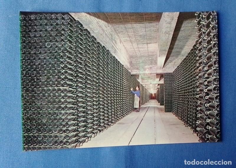 Postales: postal cavas Codorniu no circulada - Foto 1