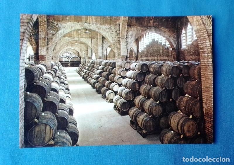 Postales: postal cavas Codorniu no circulada - Foto 1
