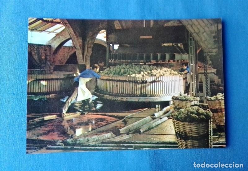 Postales: postal cavas Codorniu no circulada - Foto 1