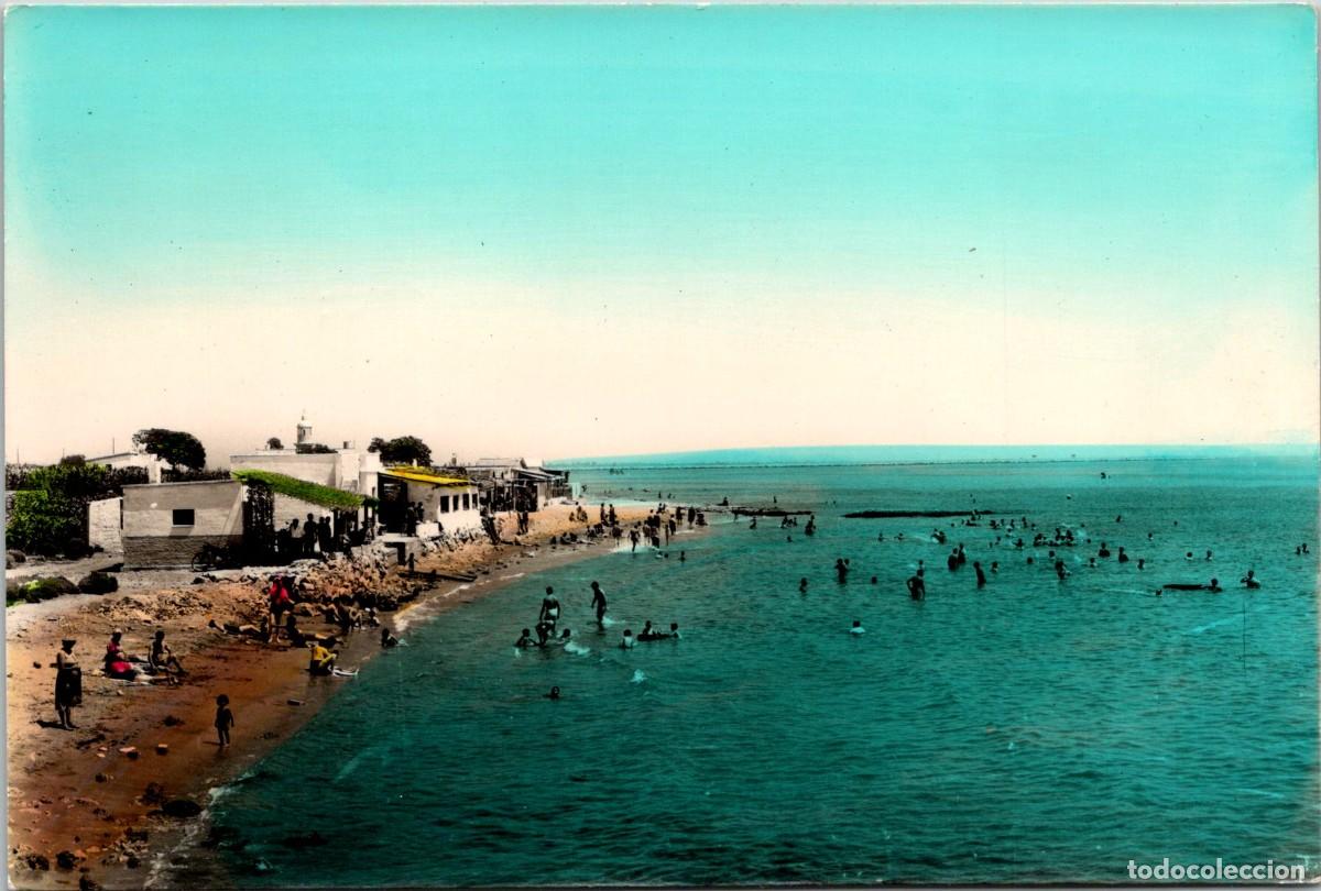 Postales: San Carlos de la R&aacute;pita - Playa de las Delicias - Ed. Dassoy n&ordm; 103 - Coloreada - 151x101mm