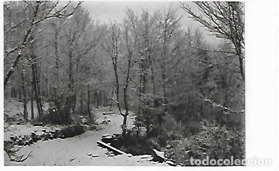 Postcards: MONTSENY - VALL DE SANTA F&Eacute; NEVANT - CAM&Iacute; DE SANT MAR&Ccedil;AL - SIN CIRCULAR 1931