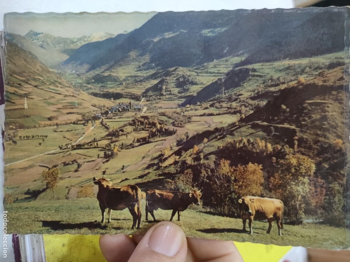 Postales: Postal PIRINEOS DE LERIDA Panor&aacute;mica del Valle de Ar&aacute;n desde la Carretera del T&uacute;nel de Viella 5081 G