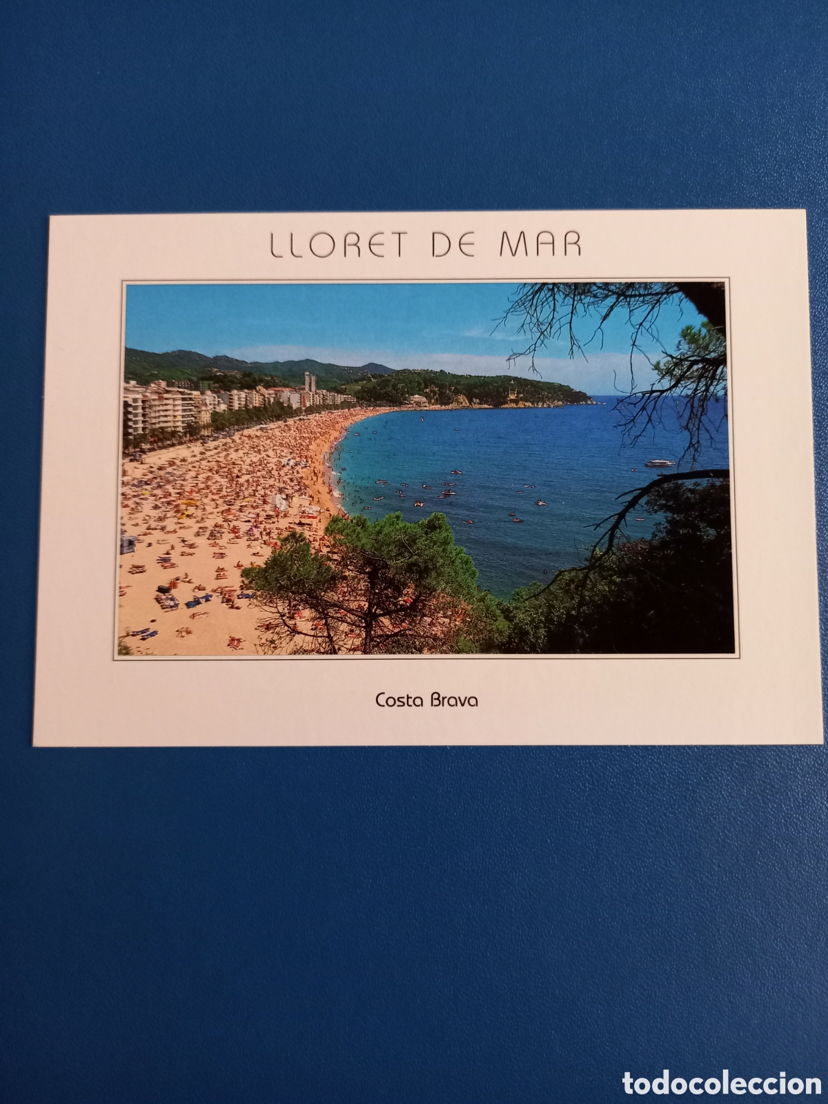 Postales: POSTAL LLORET DE MAR (COSTA BRAVA). SIN CIRCULAR - Foto 1