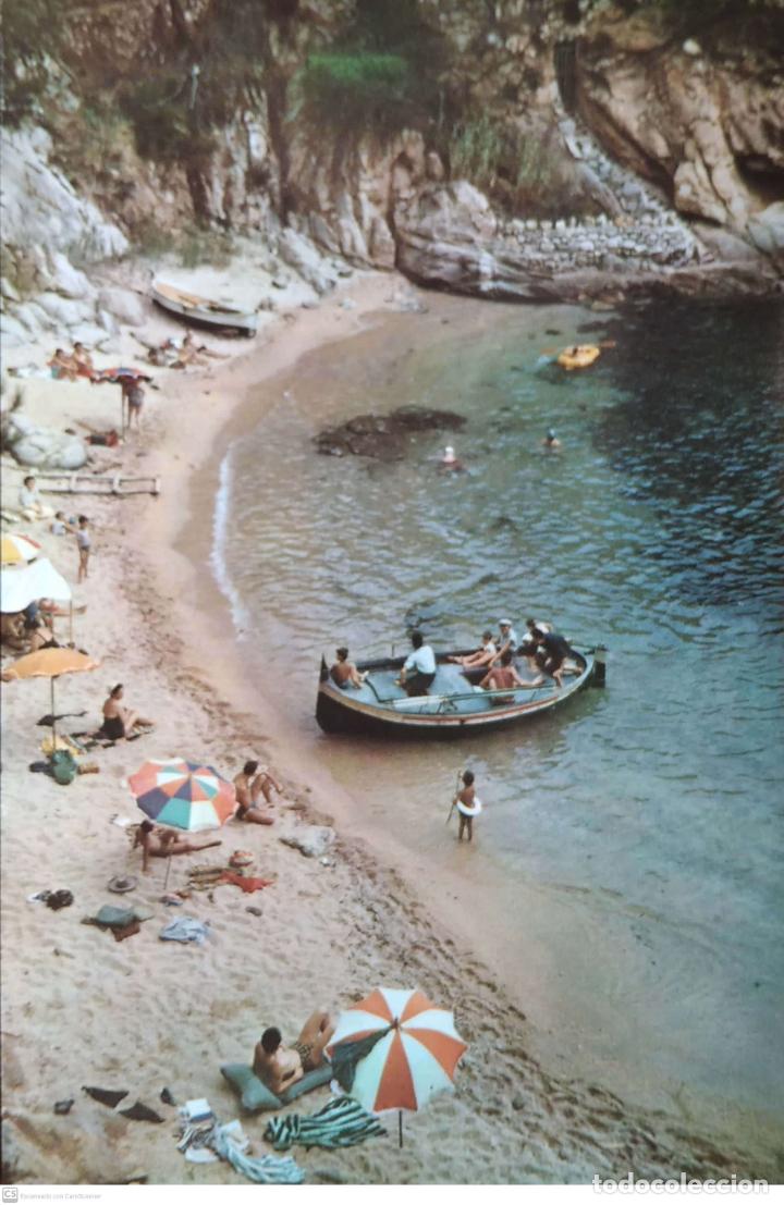 Postales: Playa de Aro. 2436 Cala Sa Cova. A. Campa&ntilde;&aacute;. Nueva. Color