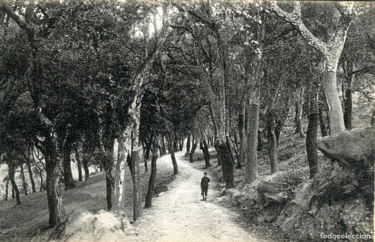 Postkarten: a09039 Arbucies Cami De La Curvadora Roisin N&ordm;16 sc