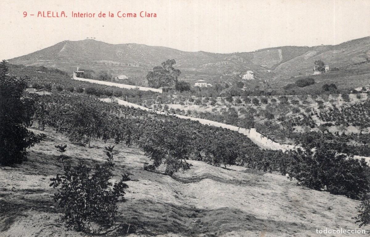 Postales: ALELLA. 9 INTERIOR DE LA COMA CLARA - Foto 1