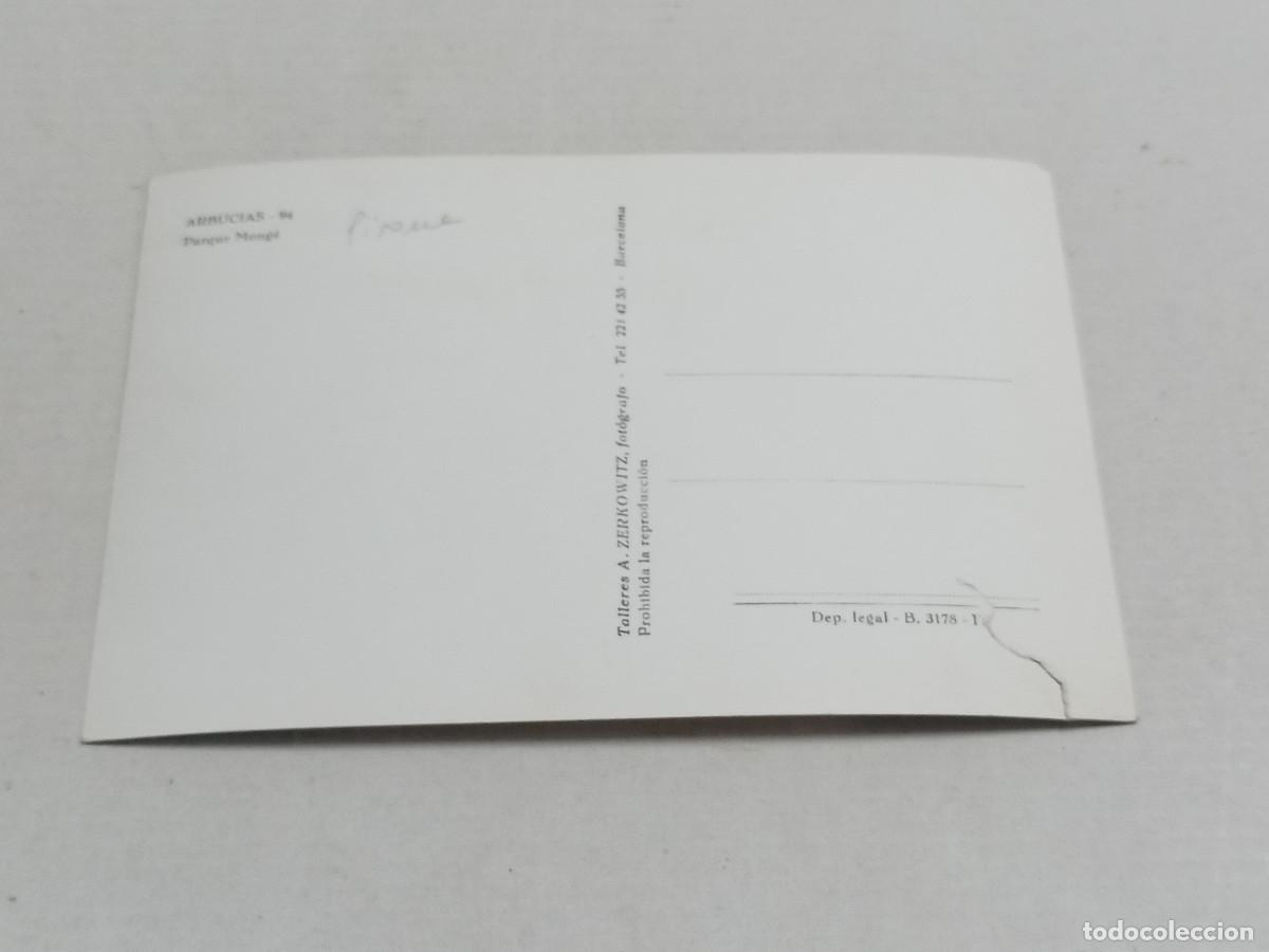 Postales: LA SELVA - POSTAL ARBUCIAS - PARQUE MONG&Eacute; - Foto 2