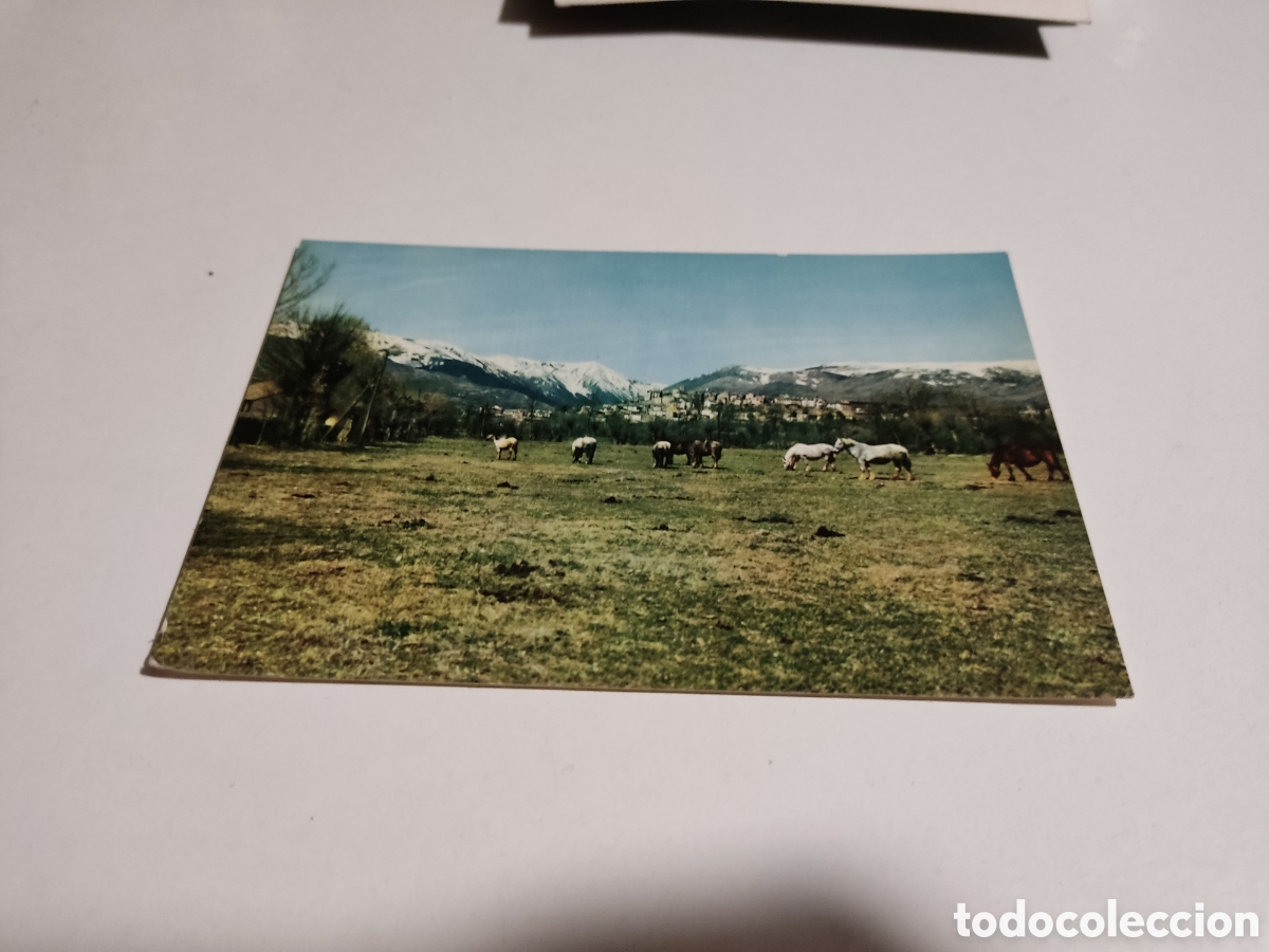 Postales: Postal puigcerda caballos - Foto 1