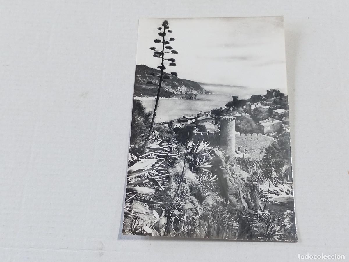 Postales: LA SELVA - POSTAL TOSSA - EL CODOLAR - Foto 1