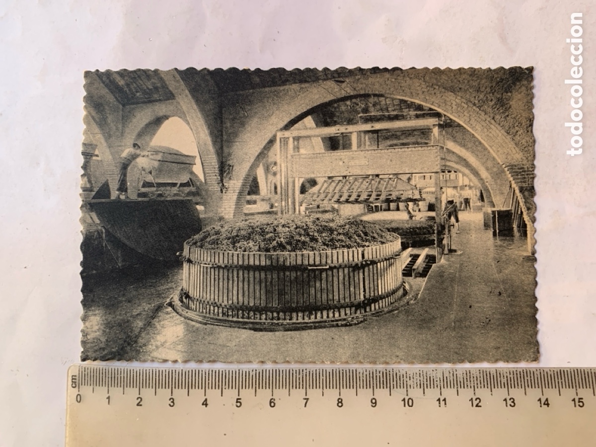 Postkarten: POSTAL. CASA CODORNIU. S. SADURNI DE NOYA. BARCELONA. UNA DE LAS PRENSAS. FOT&Oacute;GRAFO?.