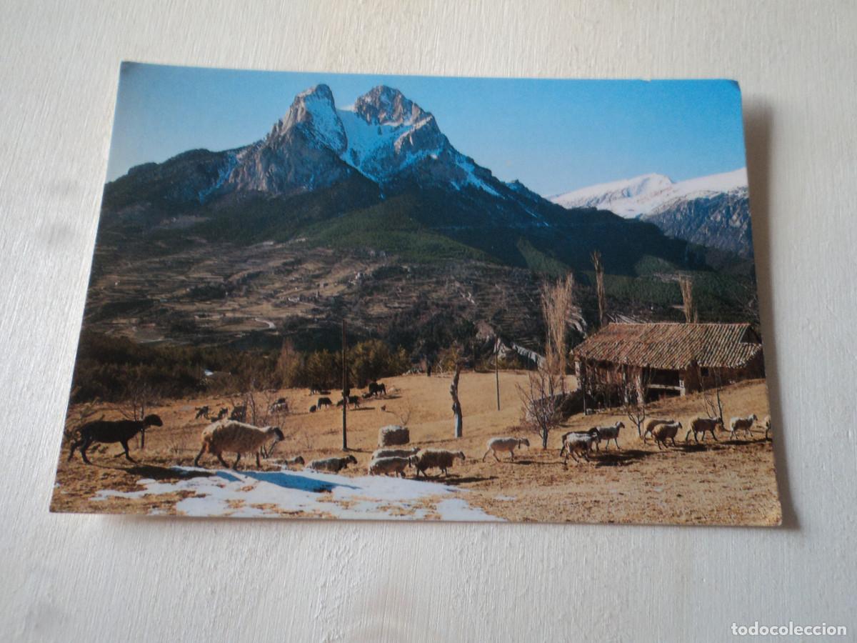 Postais: 196 alt bergueda, pedrafor&ccedil;a, saldes, ed. luigi
