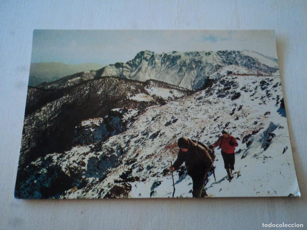 Postales: serie montseny, cumbres nevadas del montseny, ed. bosch, circulada