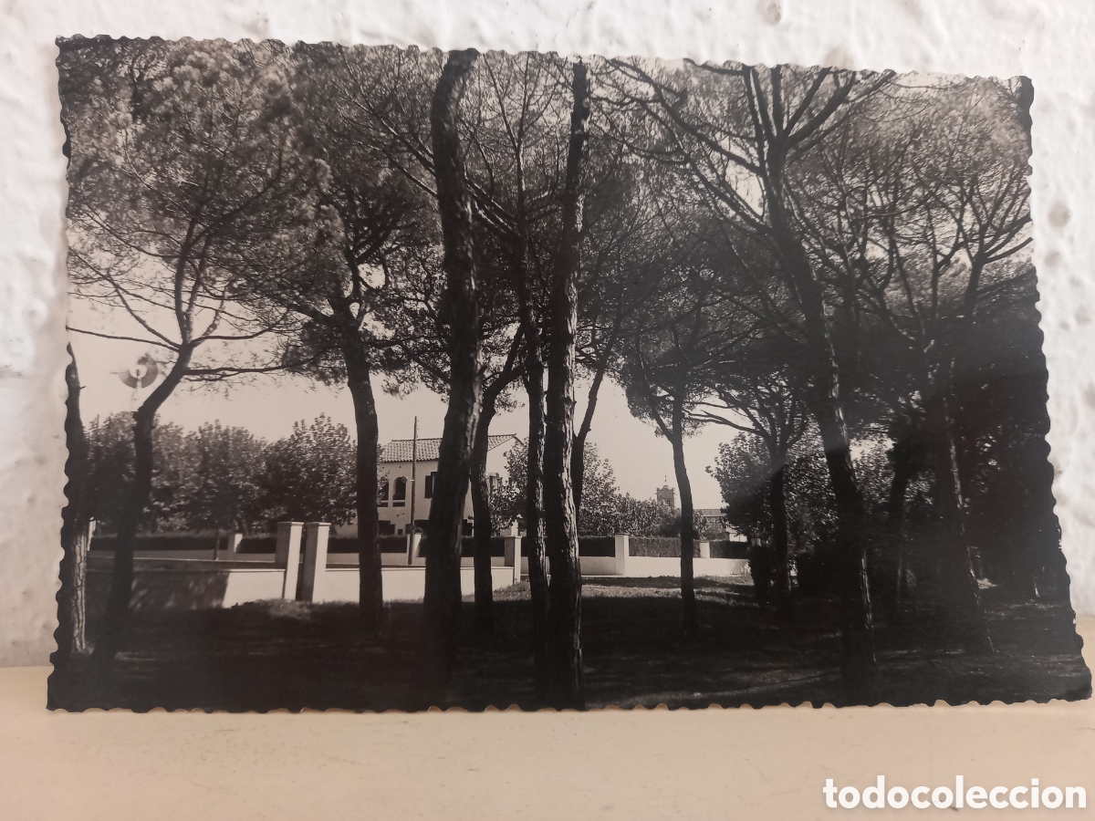 Postales: Postal CARDEDEU. Parque de Pinos - Foto 1