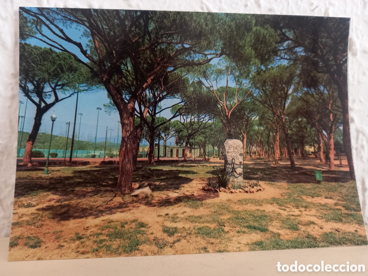 Cartes Postales: Postal CARDEDEU. Els Pinetons
