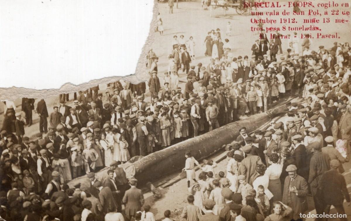 Postales: SAN FELIU DE GUIXOLS. RORCUAL COGIDO EN PLAYA SAN POL 1912
