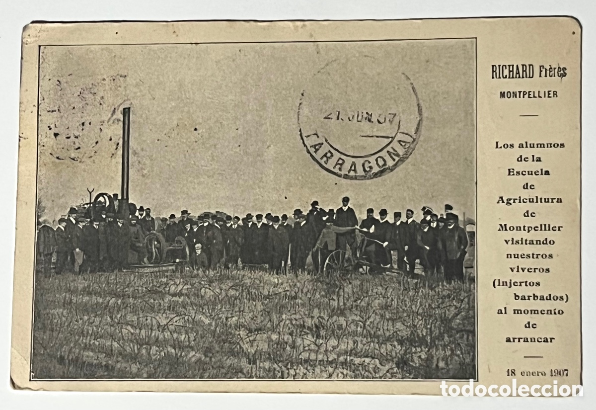 Postcards: POSTAL - LOS ALUMNOS DE LA ESCUELA DE AGRICULTURA DE MONTPELLIER VISITANDO NUESTROS VIVEROS