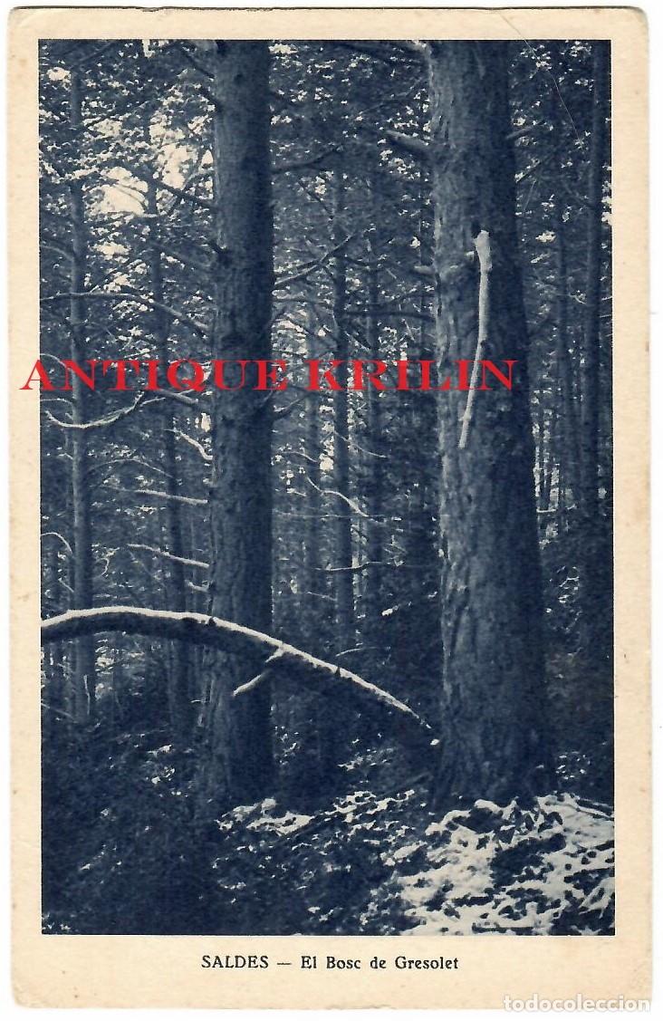 Postales: SALDES / EL BOSC DE GRESOLET / EDI. MUMBR&Uacute; / ESCRITA AL DORSO SIN CIRCULAR - Foto 1