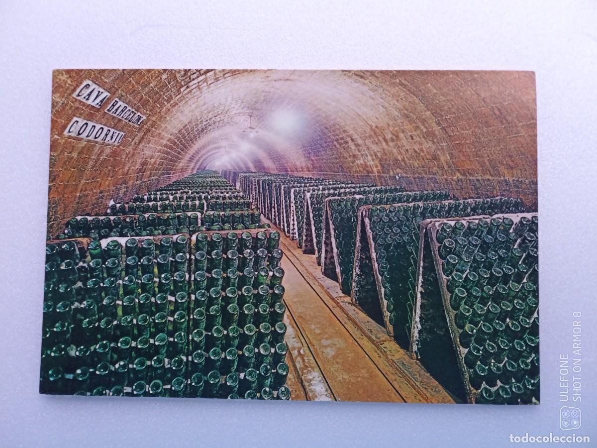 Postales: POSTAL CASA CODORNIU - SAN SADURNI DE NOYA - BOTELLAS EN PUPITRE.