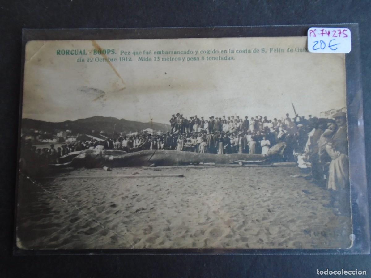 Postales: (PS-74275)POSTAL FOTOGRAFICA DE S.FELIU DE GUIXOLS-PEZ QUE EMBARRANCO Y COGIDO 22-10-1912