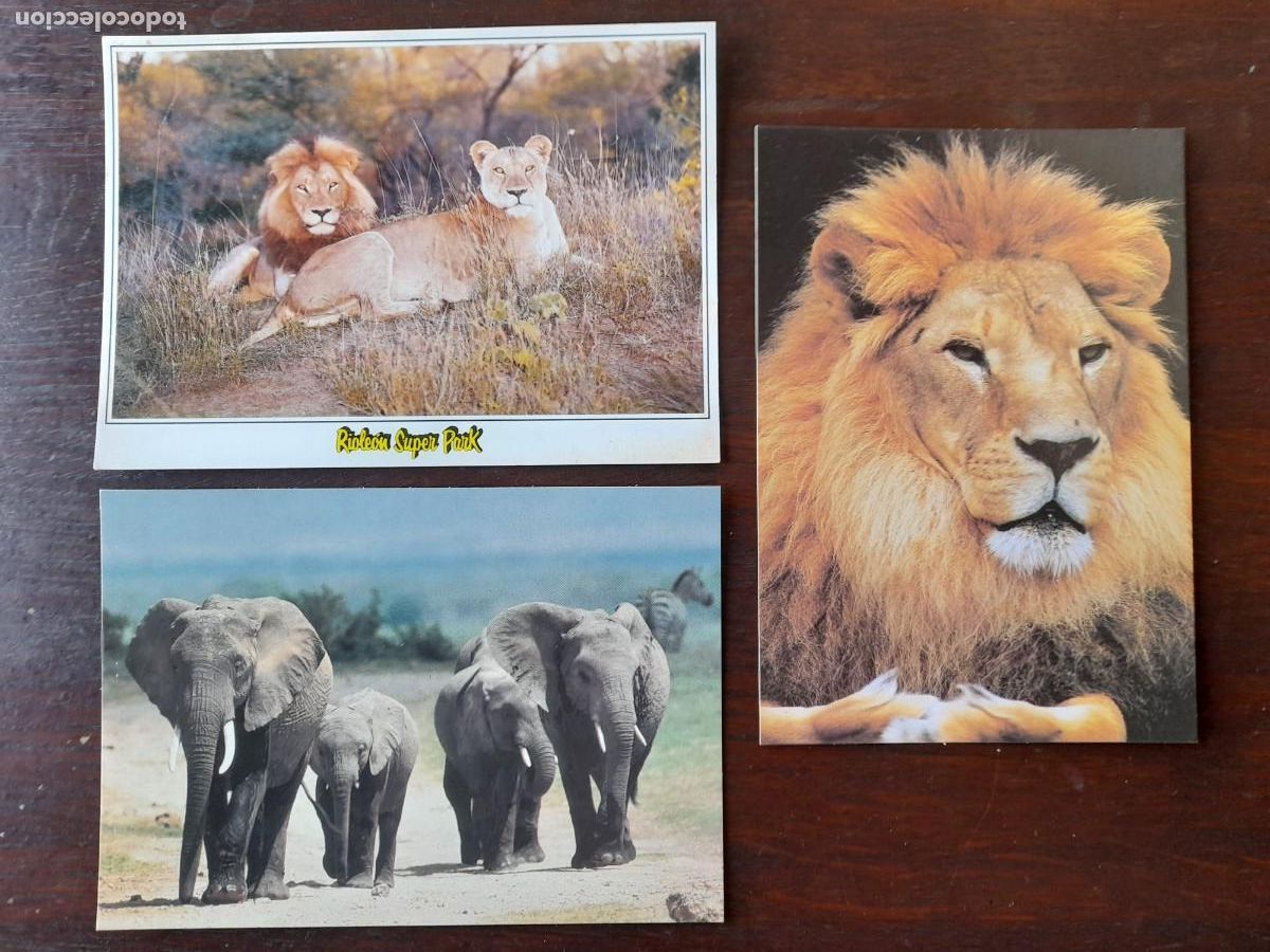 Postales: Una Postal de Rioleon Super park finca les Basses en Albinyana, Baix Penenes 3 postales a elegir