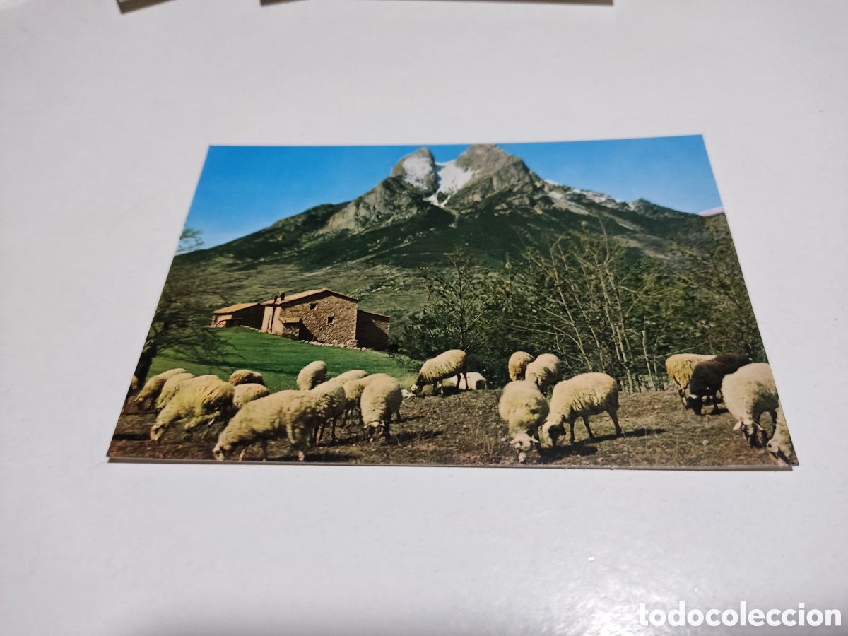 Postales: Postal Berga,pedraforca - Foto 1