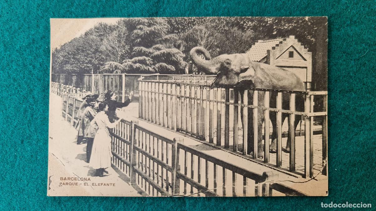 Postales: POSTAL PARQUE EL ELEFANTE - BARCELONA - Foto 1