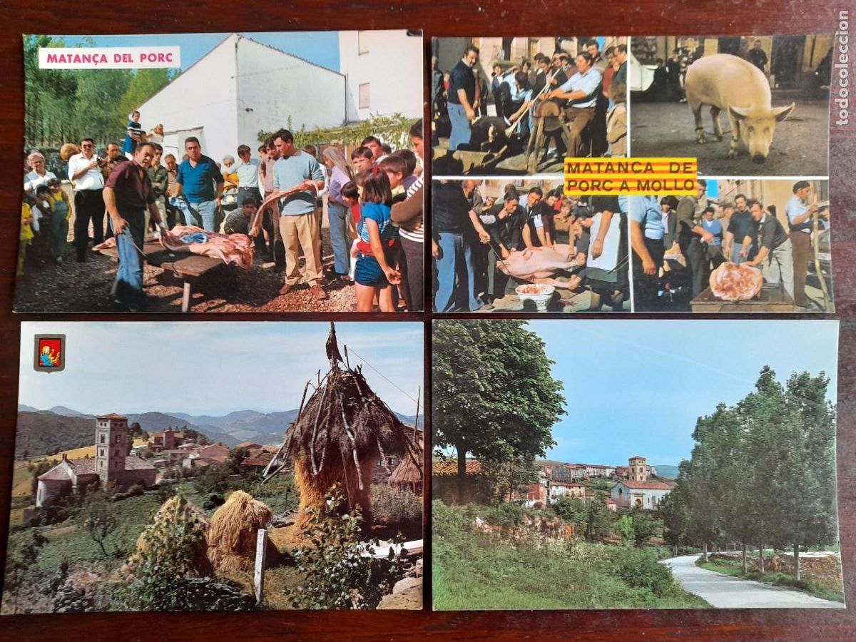 Postkarten: Una postal vintage a&ntilde;os 70&acute;s fiesta popular de la matan&ccedil;a del porc en Mollo 4 tarjetas a elegir