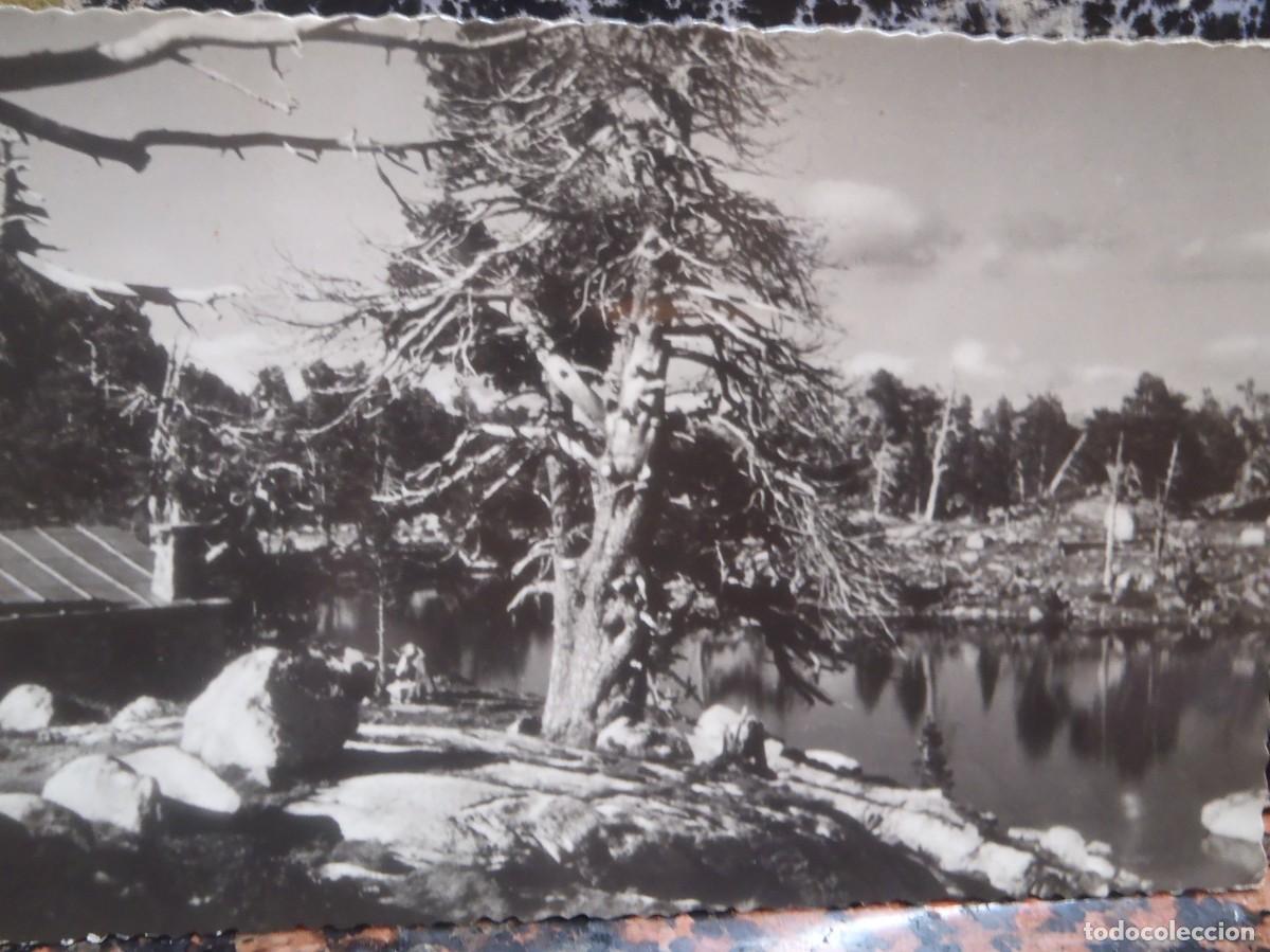 Postales: VALLE DE ESPOT - REFUGIO DE J. MARIA BLANCH - 1956