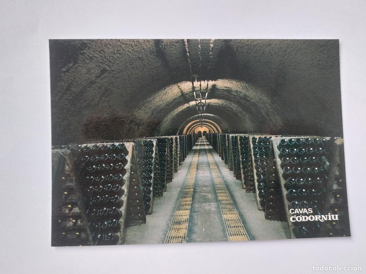 Postales: POSTAL - CAVAS CODORNIU BOTELLAS EN PUPITRE - S/C