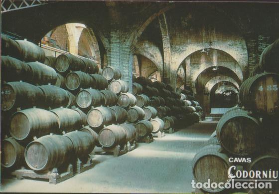 Postales: postal SIN CIRCULAR CAVAS CODORNIU 1992 POST CARD