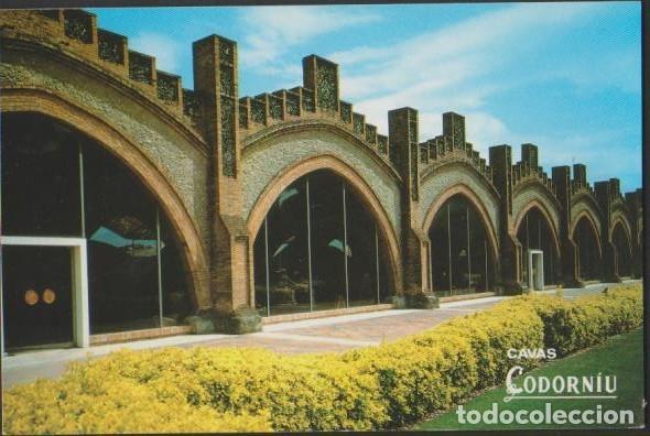 Postales: postal SIN CIRCULAR CAVAS CODORNIU 1992 POST CARD