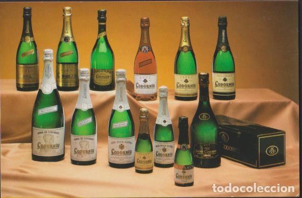 Postales: postal SIN CIRCULAR CAVAS CODORNIU 1992 POST CARD