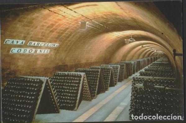 Postales: postal SIN CIRCULAR CAVAS CODORNIU 1992 POST CARD