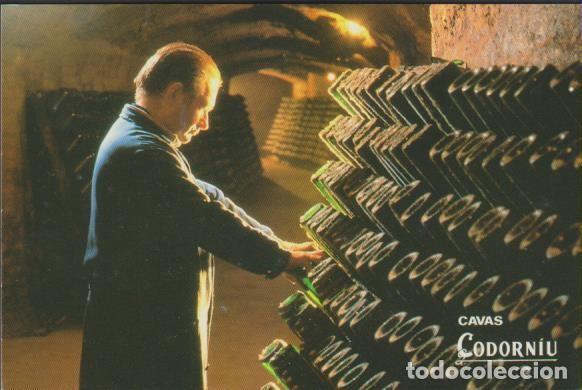 Postales: postal SIN CIRCULAR CAVAS CODORNIU 1992 POST CARD
