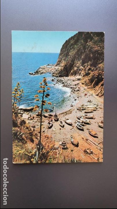 Cartes Postales: POSTAL TOSSA DE MAR COSTA BRAVA ES CODOL&Agrave; (VISION COLOR, N&ordm; 910) S/C