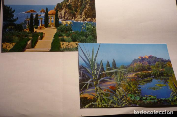 Postales: LOTE POSTALES BLANES.-JARDIN BOTANICO