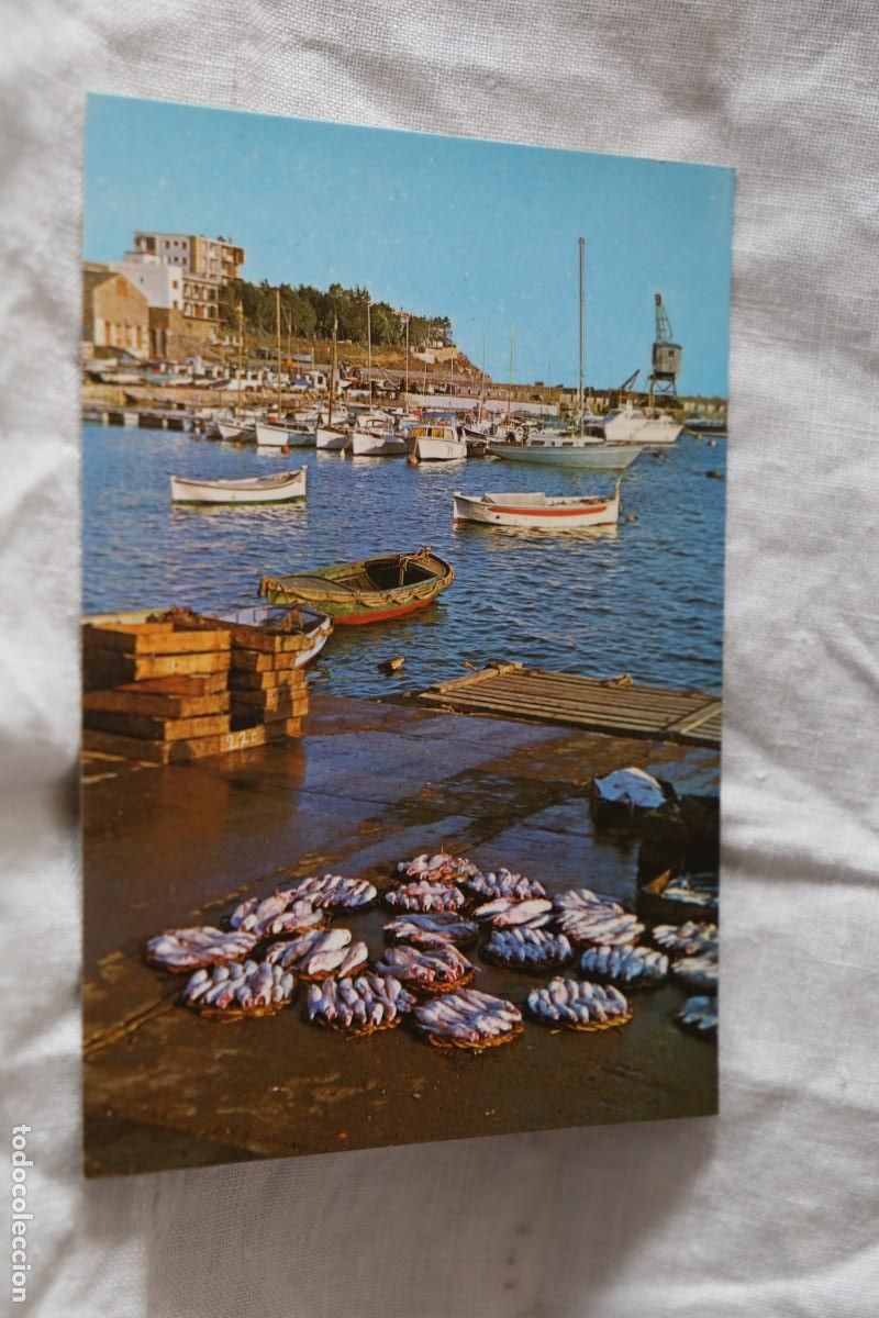 Postales: REF 8146 COSTA BRAVA PUERTO PESQUERO DE PALAMOS FITER 1967