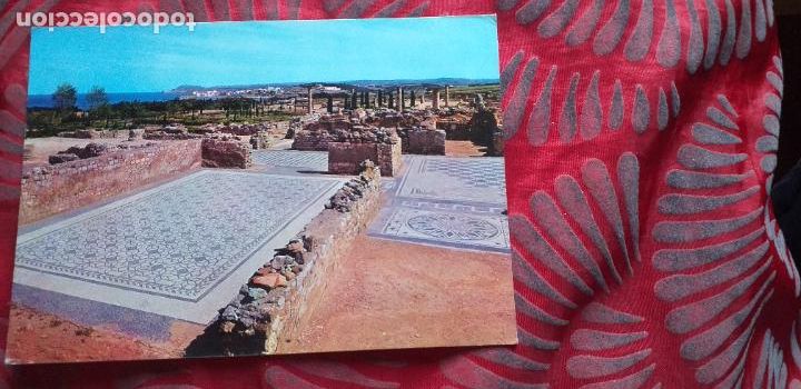 Postales: GIRONA-RVII-150X105mm.-POSTAL NO ESCRITA-AMPURIAS,MOSAICOS ROMANOS